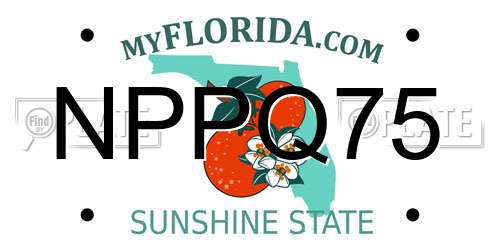NPPQ75 Florida License Plate