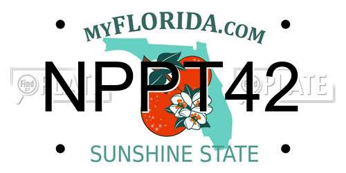 NPPT42 Florida License Plate