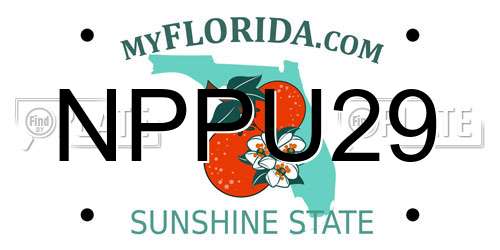 NPPU29 Florida License Plate