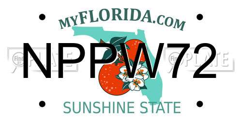 NPPW72 Florida License Plate