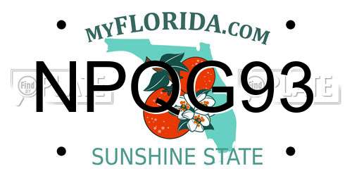 NPQG93 Florida License Plate