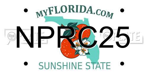 NPRC25 Florida License Plate