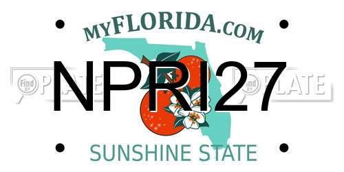 NPRI27 Florida License Plate