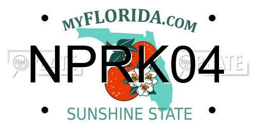 NPRK04 Florida License Plate