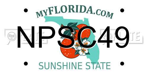 NPSC49 Florida License Plate