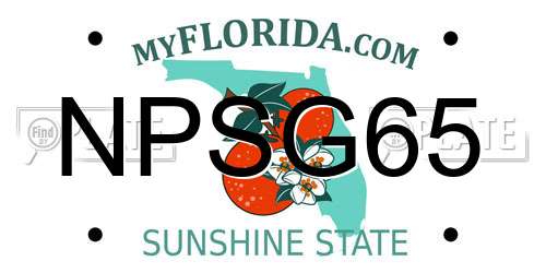 NPSG65 Florida License Plate
