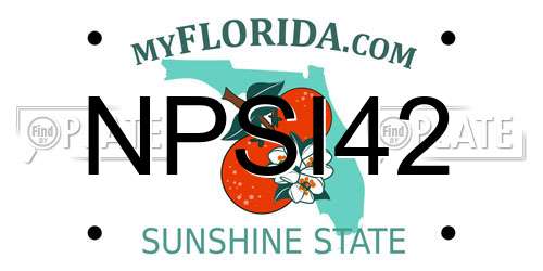 NPSI42 Florida License Plate