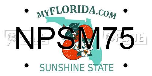 NPSM75 Florida License Plate