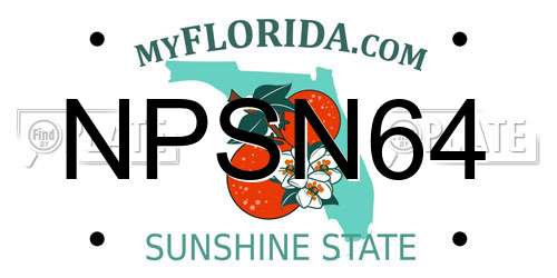 NPSN64 Florida License Plate