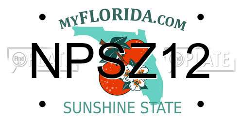 NPSZ12 Florida License Plate