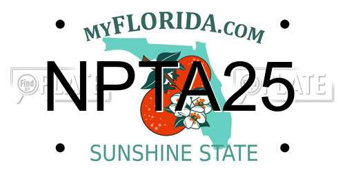 NPTA25 Florida License Plate