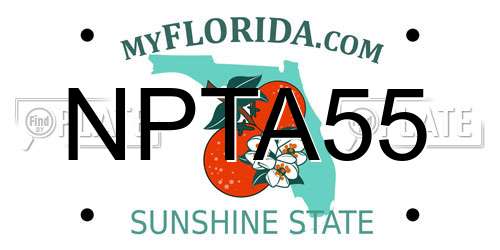 NPTA55 Florida License Plate
