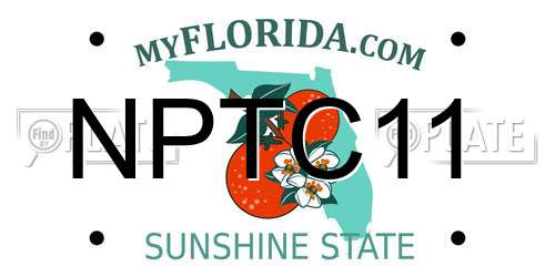 NPTC11 Florida License Plate