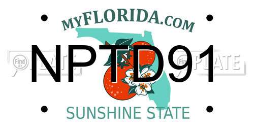 NPTD91 Florida License Plate