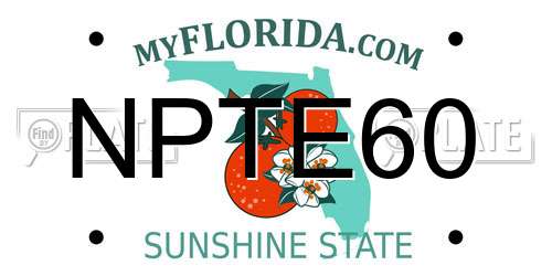 NPTE60 Florida License Plate