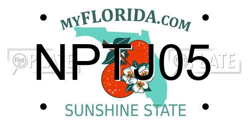 NPTJ05 Florida License Plate