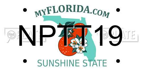 NPTT19 Florida License Plate