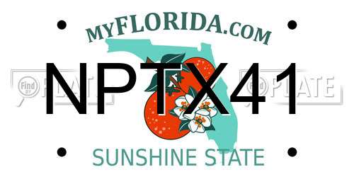 NPTX41 Florida License Plate