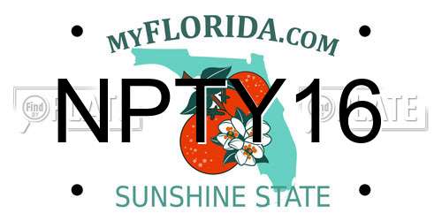 NPTY16 Florida License Plate
