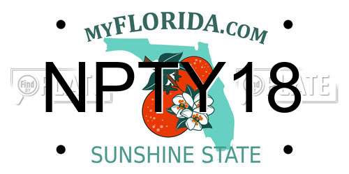 NPTY18 Florida License Plate