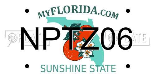NPTZ06 Florida License Plate