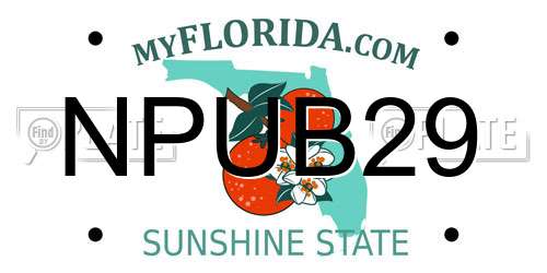 NPUB29 Florida License Plate