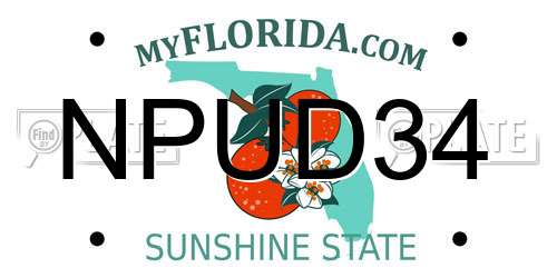 NPUD34 Florida License Plate