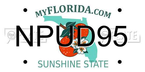 NPUD95 Florida License Plate