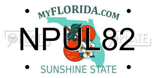 NPUL82 Florida License Plate