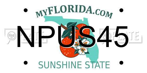 NPUS45 Florida License Plate