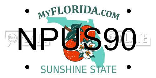 NPUS90 Florida License Plate