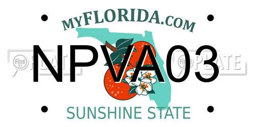NPVA03 Florida License Plate