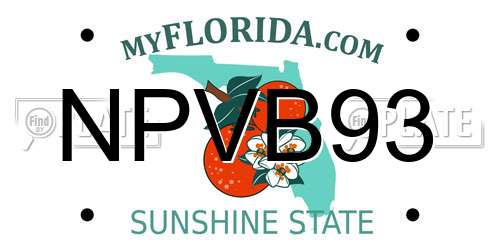 NPVB93 Florida License Plate