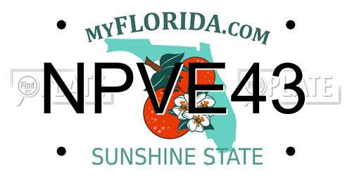 NPVE43 Florida License Plate