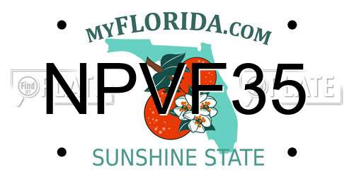 NPVF35 Florida License Plate