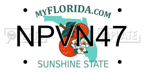 NPVN47 Florida License Plate