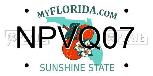 NPVQ07 Florida License Plate