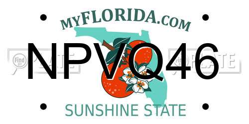 NPVQ46 Florida License Plate