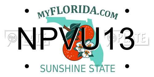 NPVU13 Florida License Plate