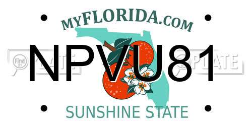 NPVU81 Florida License Plate