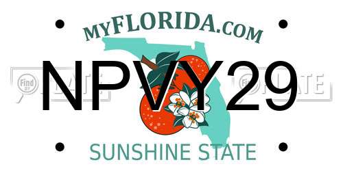 NPVY29 Florida License Plate