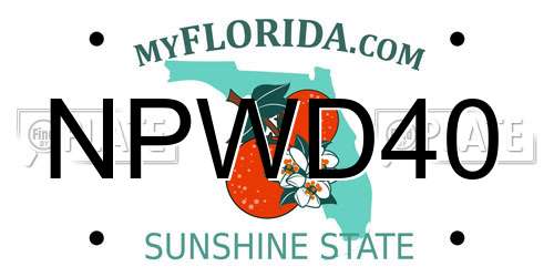 NPWD40 Florida License Plate