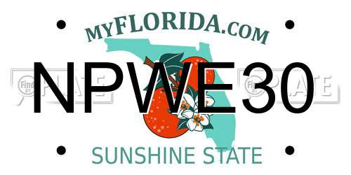 NPWE30 Florida License Plate