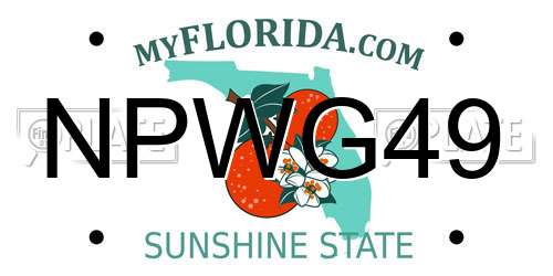 NPWG49 Florida License Plate