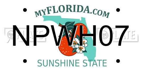 NPWH07 Florida License Plate