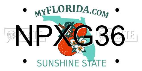 NPXG36 Florida License Plate