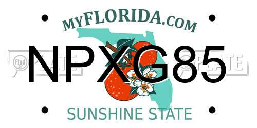 NPXG85 Florida License Plate