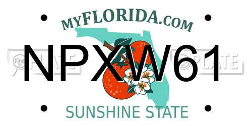 NPXW61 Florida License Plate