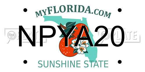 NPYA20 Florida License Plate