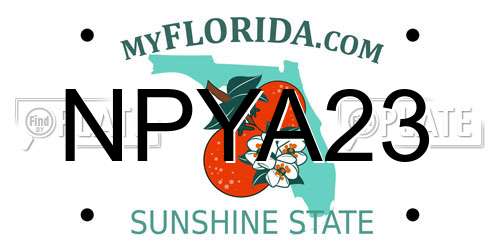NPYA23 Florida License Plate